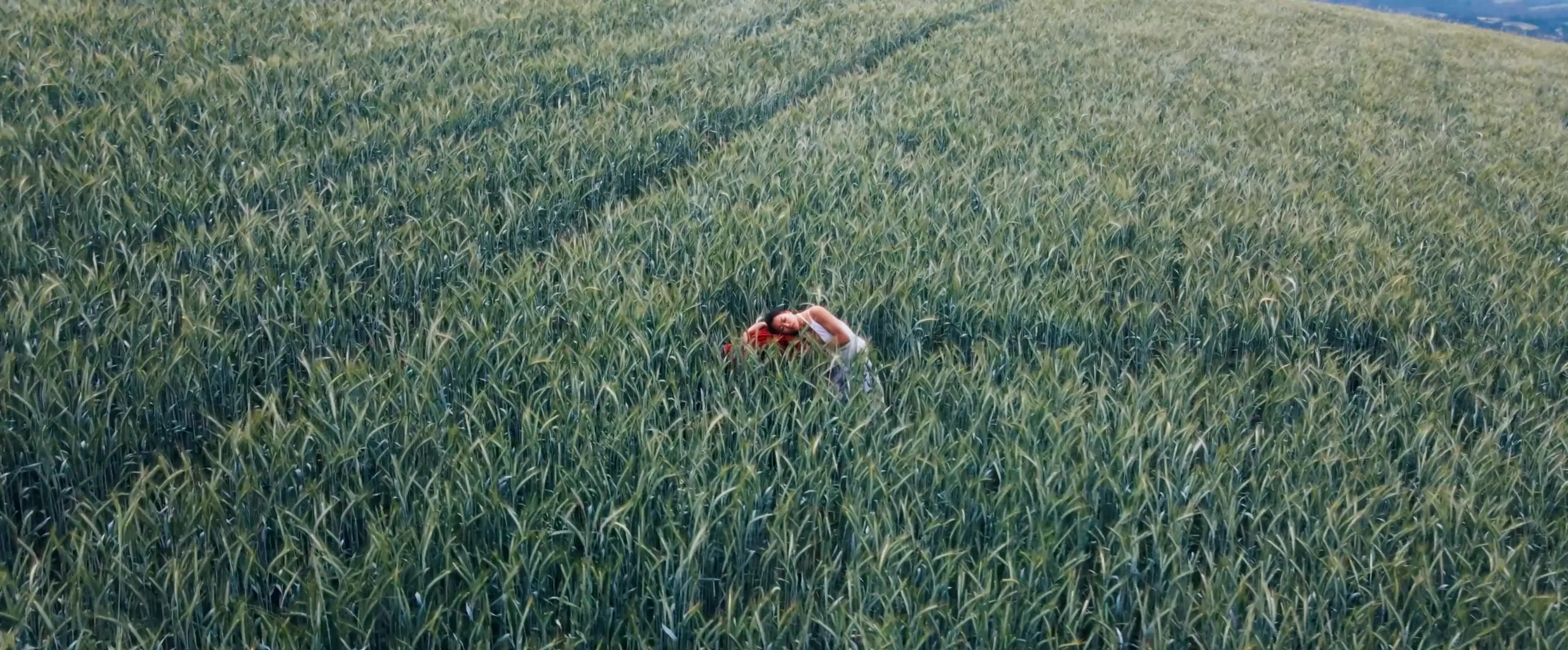 Red Fate